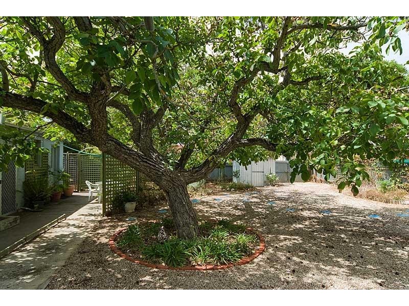 2A Samson Avenue WESTBOURNE PARK 5041, Westbourne Park SA 5041