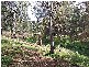 Lot 234  Panorama Drive PANORAMA 5041, Panorama SA 5041