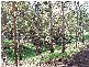 Lot 234  Panorama Drive PANORAMA 5041, Panorama SA 5041