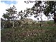 Lot 234  Panorama Drive PANORAMA 5041, Panorama SA 5041