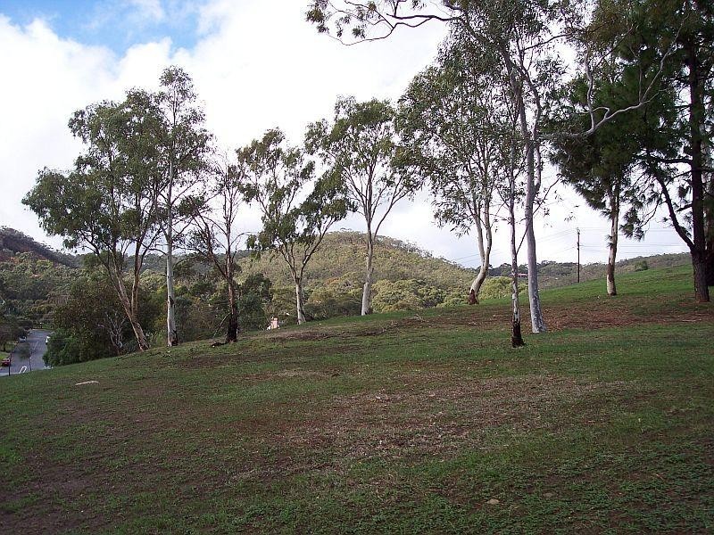 Lot 234  Panorama Drive PANORAMA 5041, Panorama SA 5041