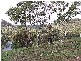 Lot 234  Panorama Drive PANORAMA 5041, Panorama SA 5041