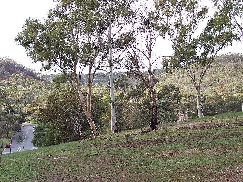 Lot 234  Panorama Drive PANORAMA 5041, Panorama SA 5041