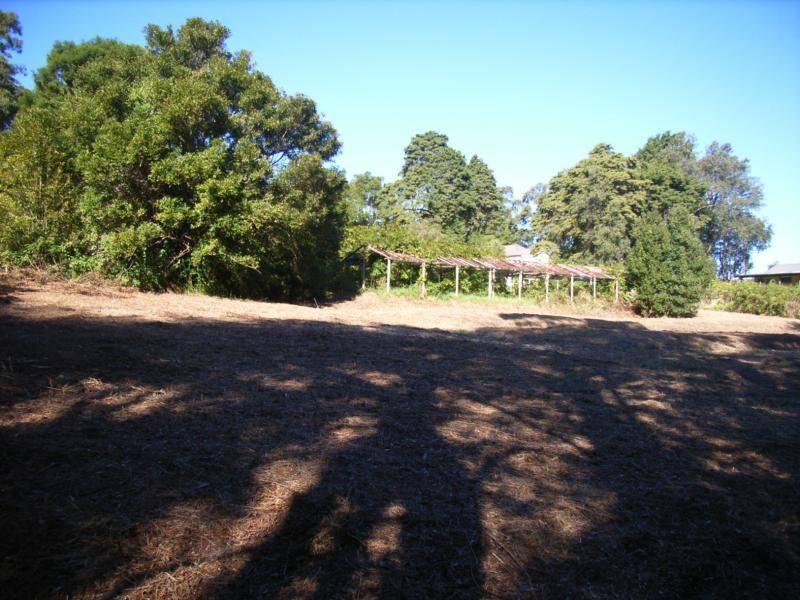 321 Terrigal Drive ERINA 2250, Erina NSW 2250