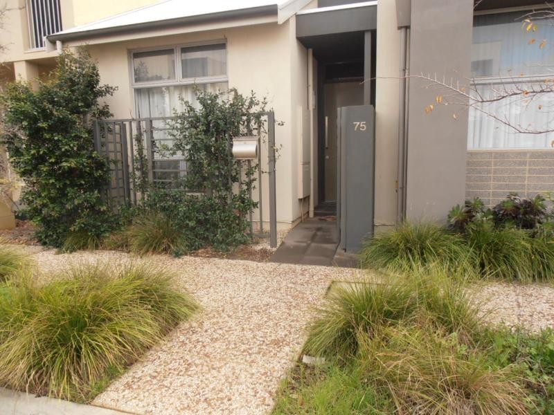 75 Macmillan  Avenue MAWSON LAKES 5095, Mawson Lakes SA 5095