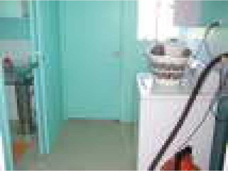 21 Conran Street CAPELLA 4723, Capella QLD 4723