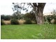 Benwerrin Turee Vale Road COOLAH 2843, Coolah NSW 2843