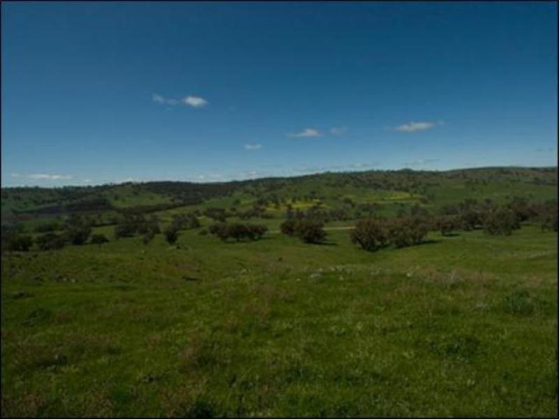 Benwerrin Turee Vale Road COOLAH 2843, Coolah NSW 2843