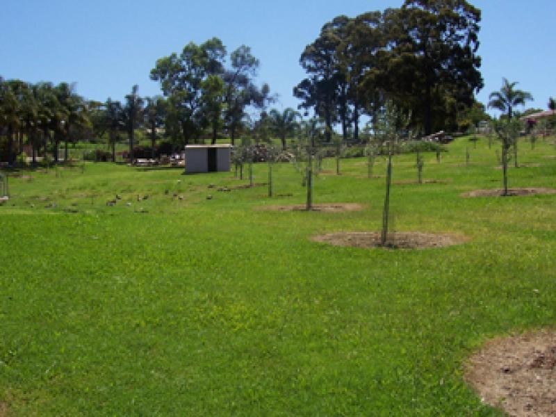 2 Silverdell Place SURF BEACH 2536, Surf Beach NSW 2536