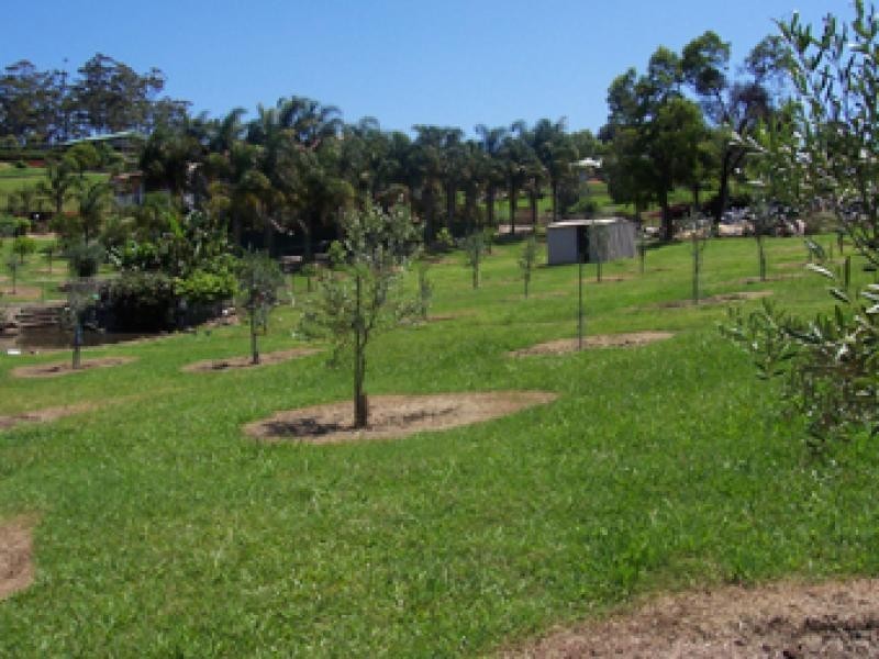 2 Silverdell Place SURF BEACH 2536, Surf Beach NSW 2536
