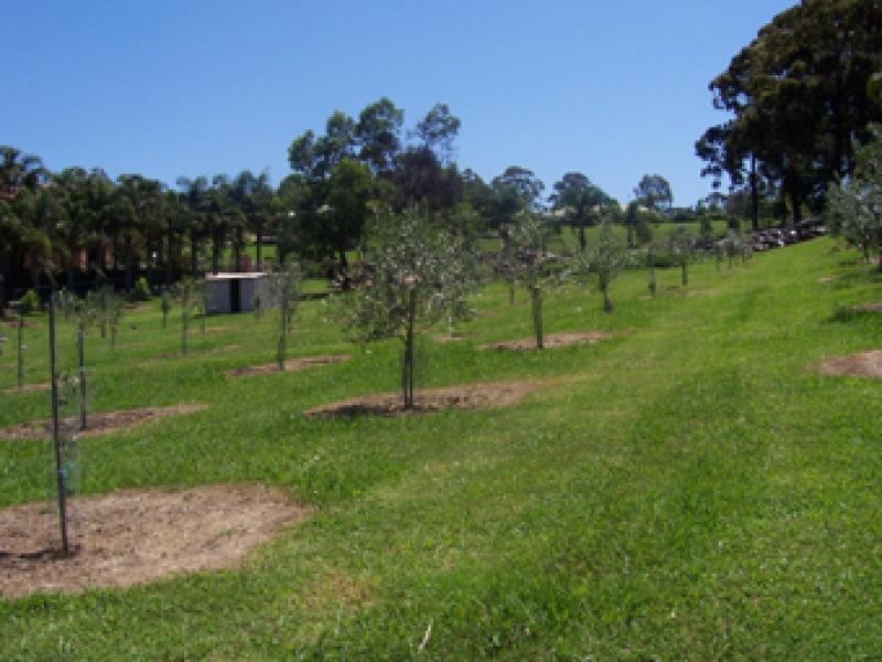 2 Silverdell Place SURF BEACH 2536, Surf Beach NSW 2536