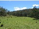 Lot 12 Kings Highway NELLIGEN 2536, Nelligen NSW 2536