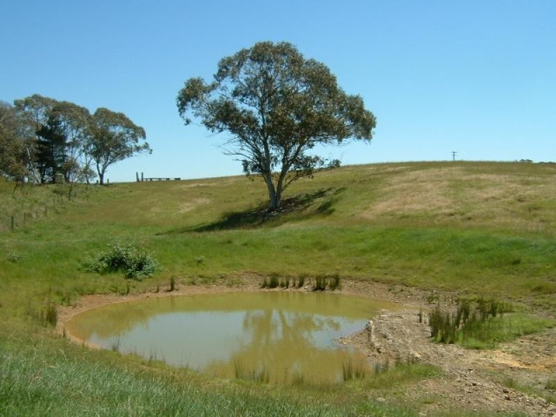 Lot 12 Kings Highway BRAIDWOOD 2622, Braidwood NSW 2622
