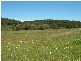 Lot 12 Kings Highway BRAIDWOOD 2622, Braidwood NSW 2622