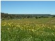 Lot 12 Kings Highway BRAIDWOOD 2622, Braidwood NSW 2622