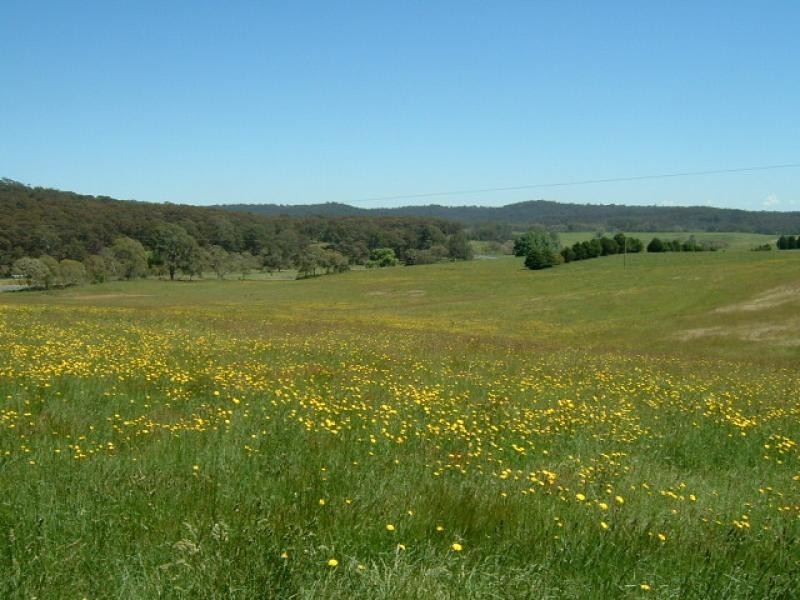 Lot 12 Kings Highway BRAIDWOOD 2622, Braidwood NSW 2622