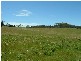 Lot 12 Kings Highway BRAIDWOOD 2622, Braidwood NSW 2622