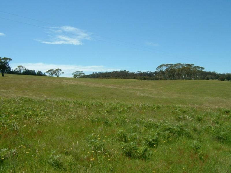 Lot 12 Kings Highway BRAIDWOOD 2622, Braidwood NSW 2622