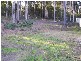 10 Correa Place CATALINA 2536, Catalina NSW 2536