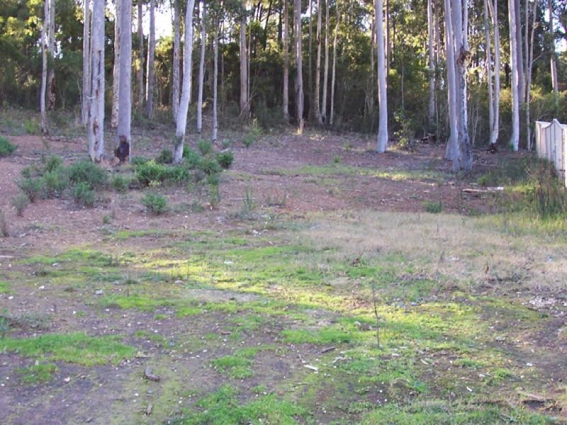 10 Correa Place CATALINA 2536, Catalina NSW 2536
