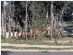 90 Litchfield Crescent LONG BEACH 2536, Long Beach NSW 2536