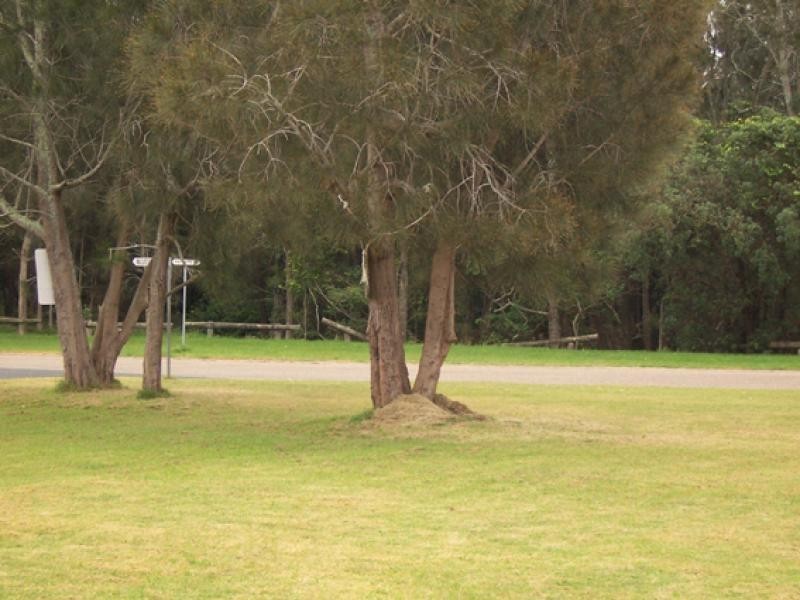 110 Maloneys Drive MALONEYS BEACH 2536, Maloneys Beach NSW 2536