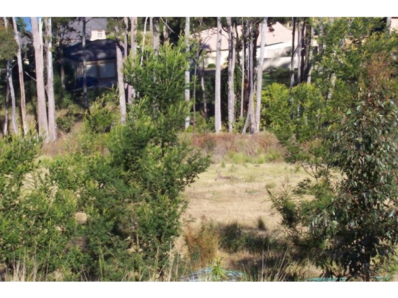 89 Blairs Road LONG BEACH 2536, Long Beach NSW 2536