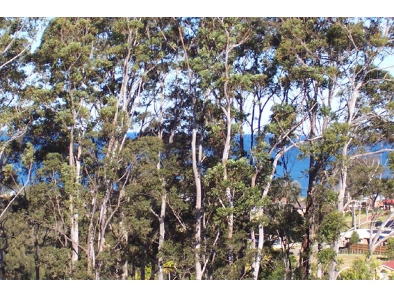 89 Blairs Road LONG BEACH 2536, Long Beach NSW 2536