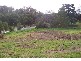 7 Bateman Street MOGO 2536, Mogo NSW 2536