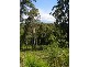 Lot 5  Kyeema Drive MILTON 2538, Milton NSW 2538