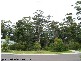 21 Yarrawonga Drive  MOLLYMOOK 2539, Mollymook NSW 2539