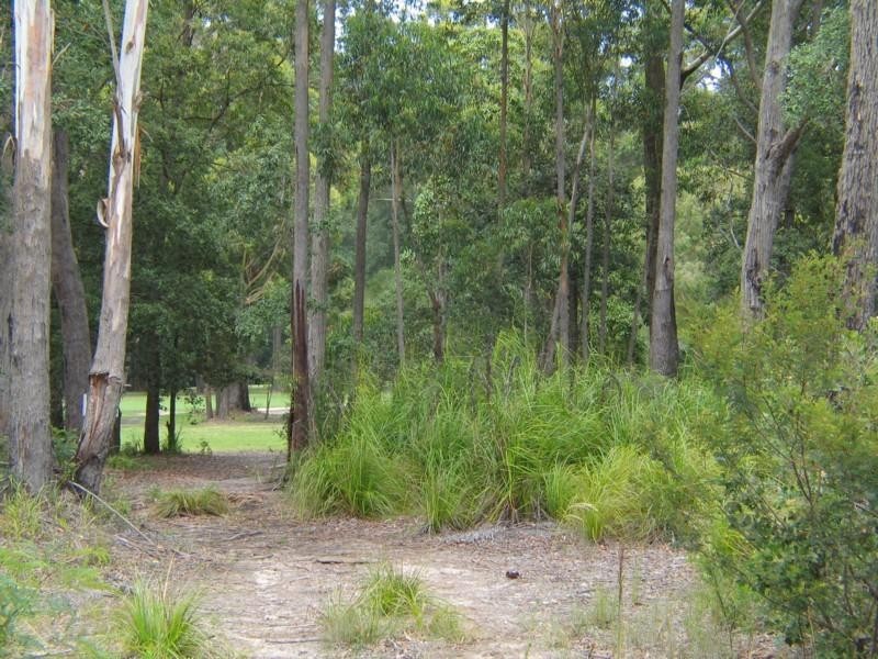 21 Yarrawonga Drive  MOLLYMOOK 2539, Mollymook NSW 2539