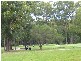 21 Yarrawonga Drive  MOLLYMOOK 2539, Mollymook NSW 2539