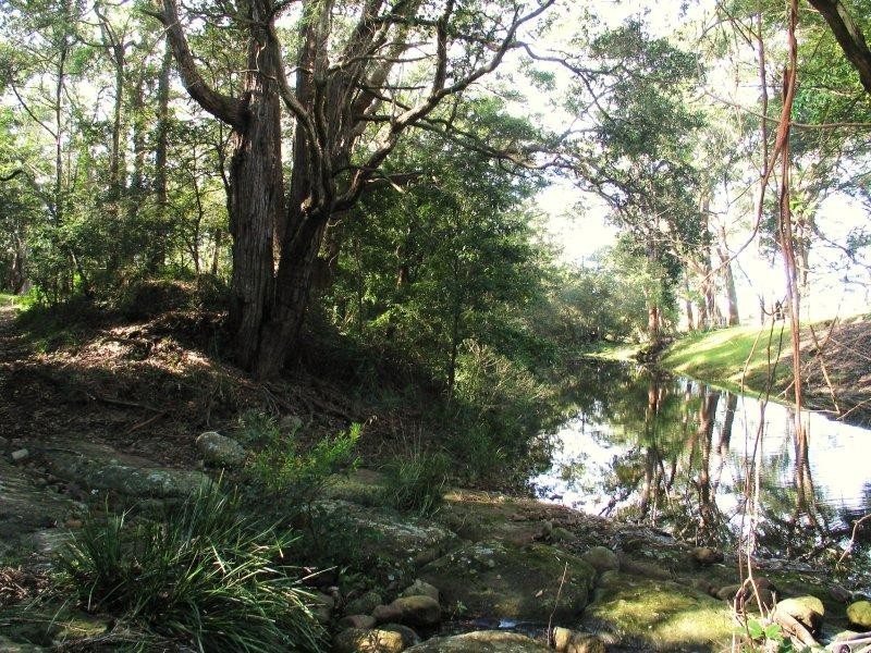 317B  Little Forest  Road MILTON 2538, Milton NSW 2538