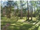 317B  Little Forest  Road MILTON 2538, Milton NSW 2538