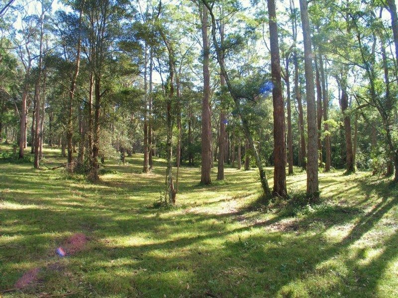 317B  Little Forest  Road MILTON 2538, Milton NSW 2538