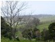 210 Princes Highway MILTON 2538, Milton NSW 2538