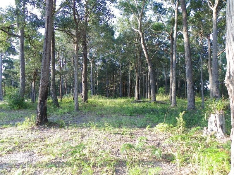 275A Matron Porter Drive NARRAWALLEE 2539, Narrawallee NSW 2539