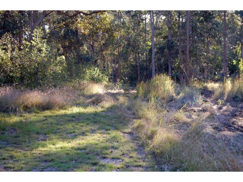Mothar Mountain QLD 4570