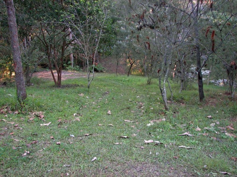 Forest Glen QLD 4556