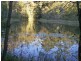 Forest Glen QLD 4556