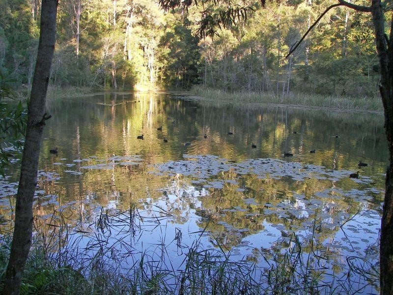 Forest Glen QLD 4556