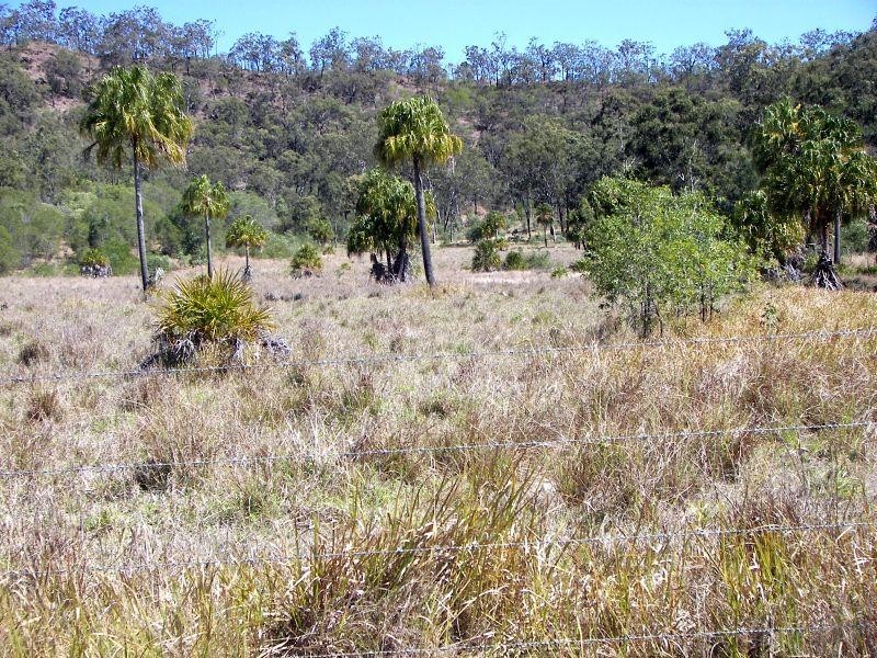 LOT 1 Upper Thornside Road WIDGEE 4570, Widgee QLD 4570