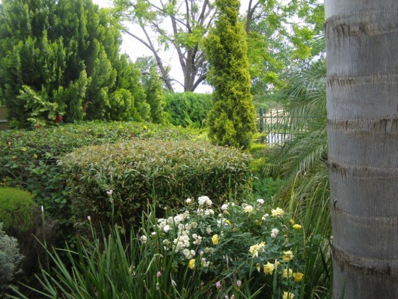 14 Thorne Street PARALOWIE 5108, Paralowie SA 5108