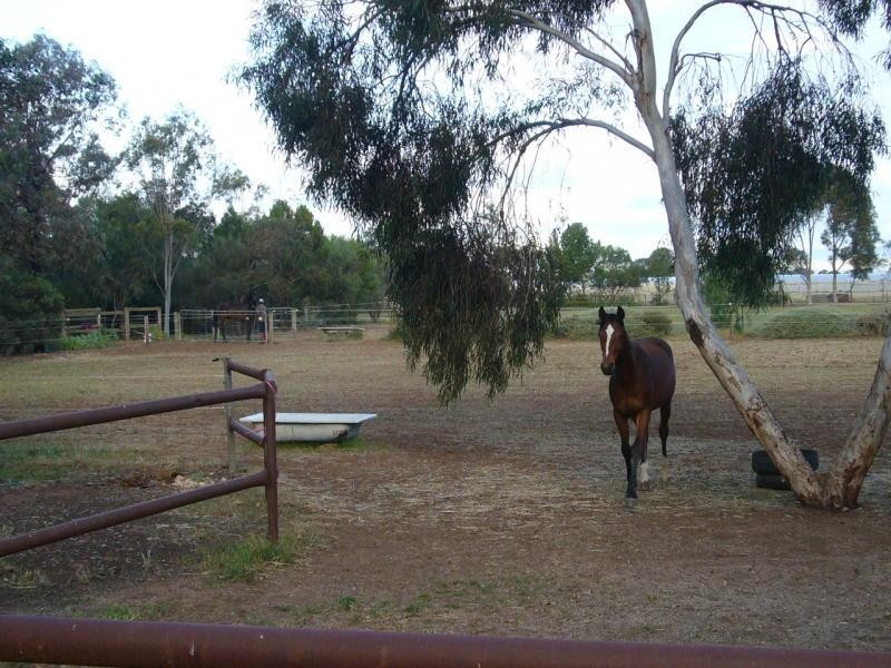 103 Mckay Road VIRGINIA 5120, Virginia SA 5120