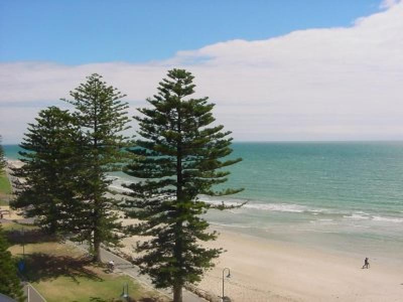 16 2 Ferguson Street GLENELG NORTH 5045, Glenelg North SA 5045