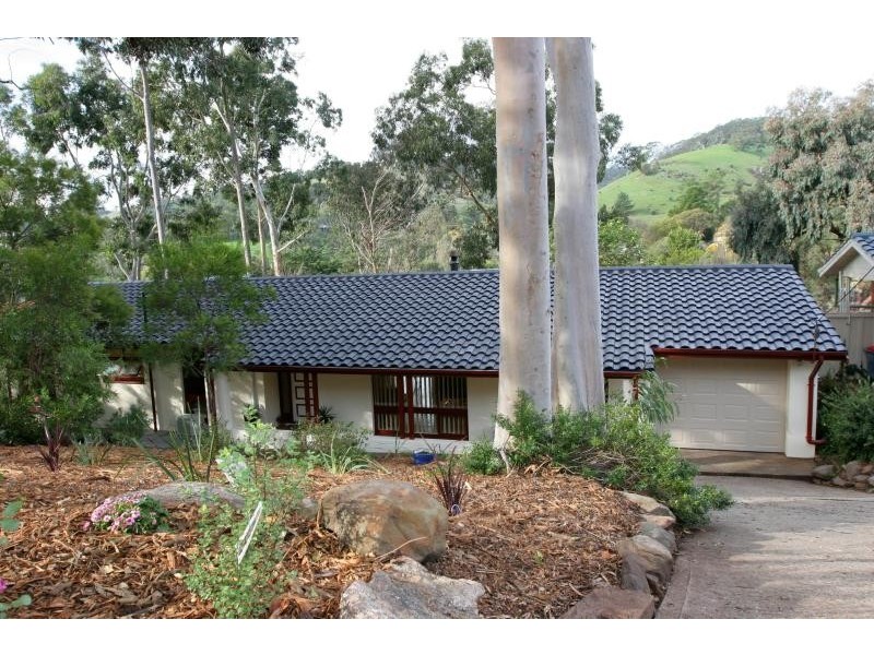 31 Hillsdale  Avenue COROMANDEL VALLEY 5051, Coromandel Valley SA 5051
