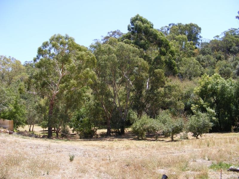 Lot 28 Apple Grove COROMANDEL VALLEY 5051, Coromandel Valley SA 5051