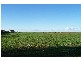 sec 1312 Moonta Road  KADINA 5554, Kadina SA 5554