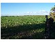 sec 1312 Moonta Road  KADINA 5554, Kadina SA 5554